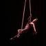 Folly Straps
